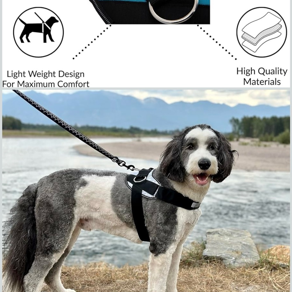 Shawn and co Black and Tan Dog Harness. A - Picture 4 of 8